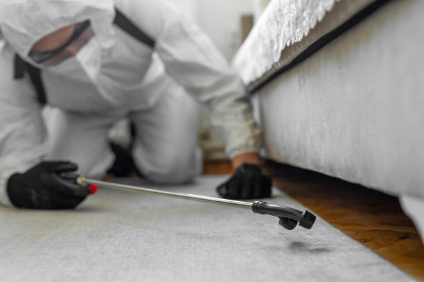Professional Bed Bug Control technician working in Rutland, VT