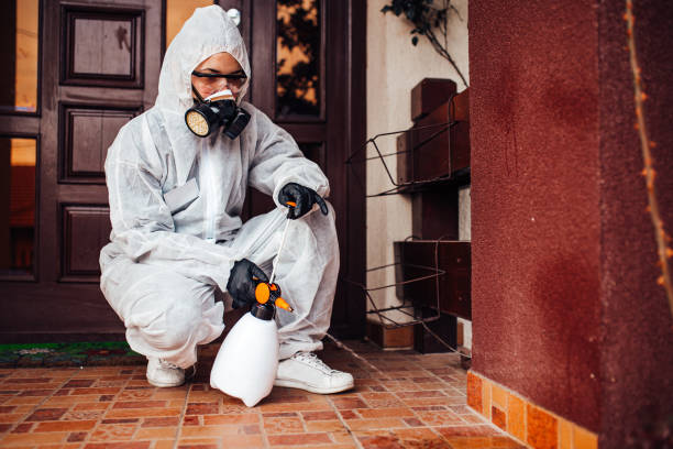 Reliable Bed Bug Control contractor in Rutland, VT by Nex Pest Control
